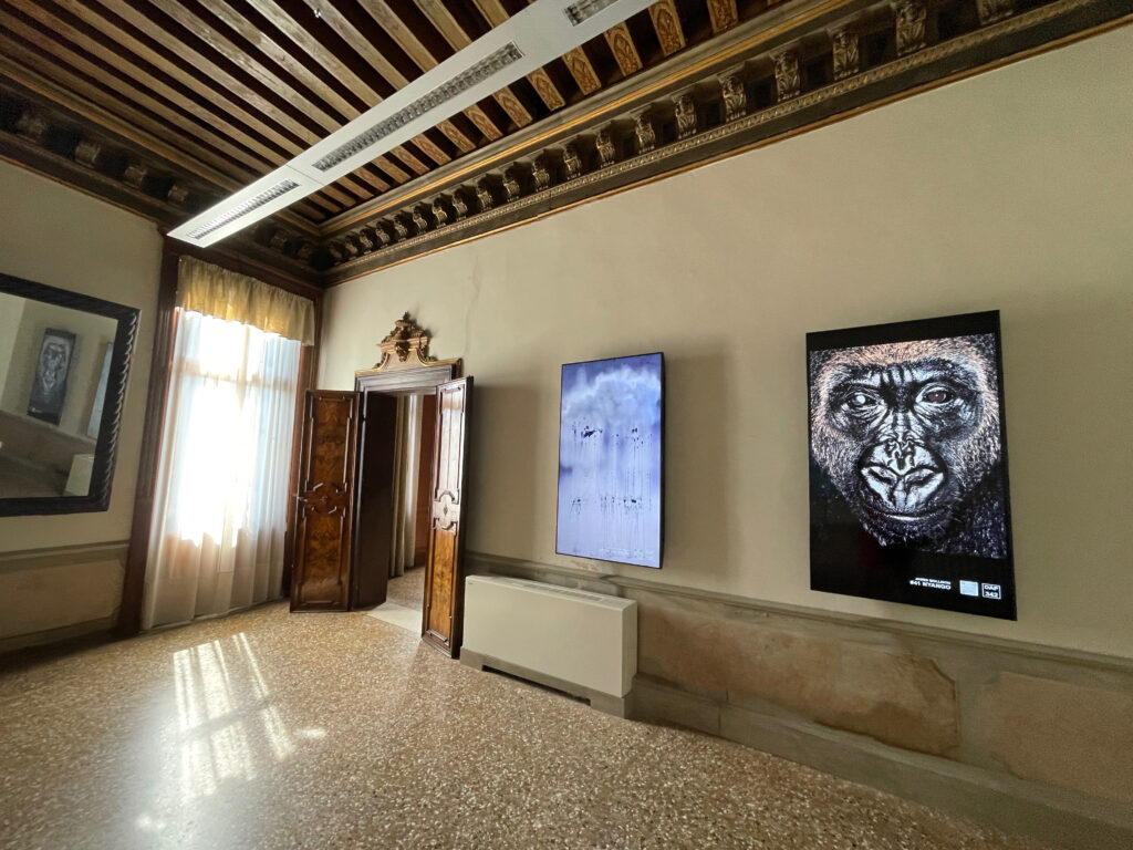 DAP_Venice_Daily Exhibition_Display (3)