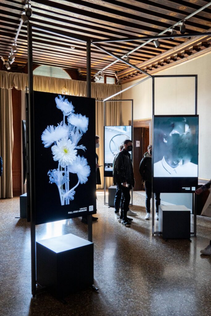 DAP_Venice_Daily Exhibition_Display (3)