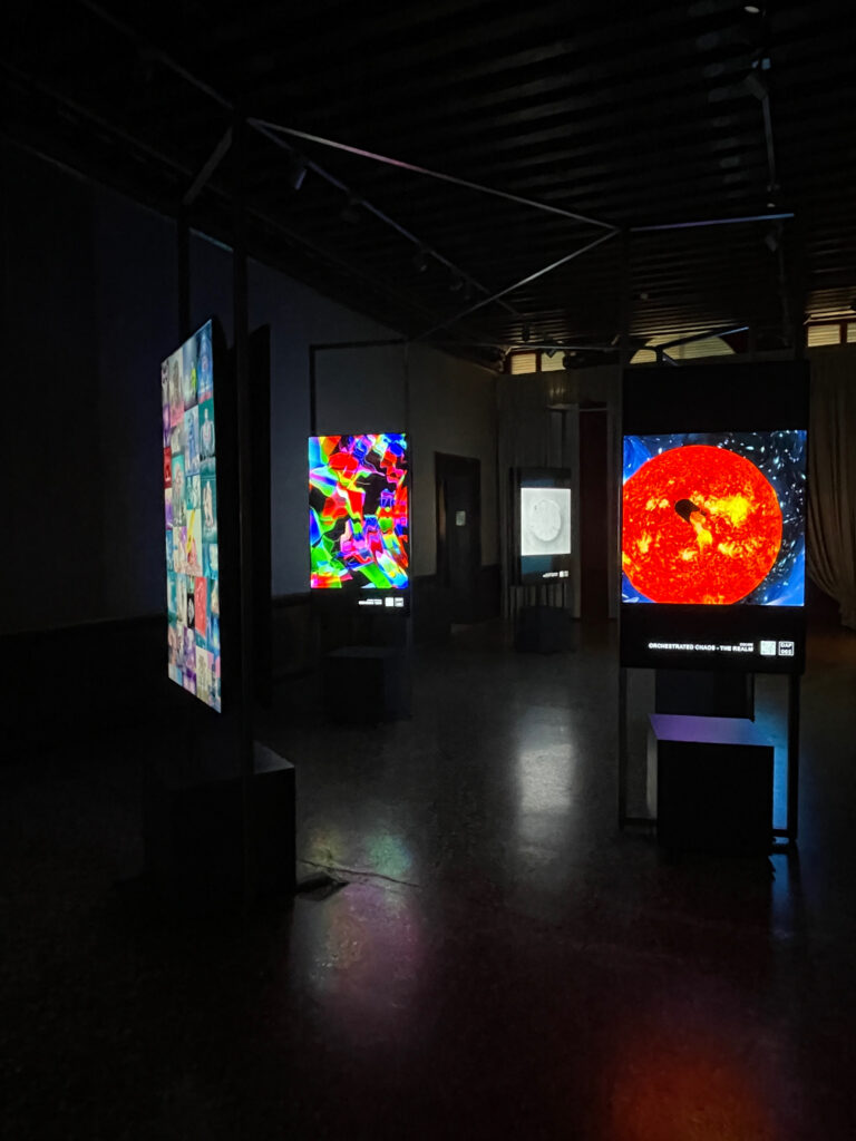 DAP_Venice_Daily Exhibition_Display (35)