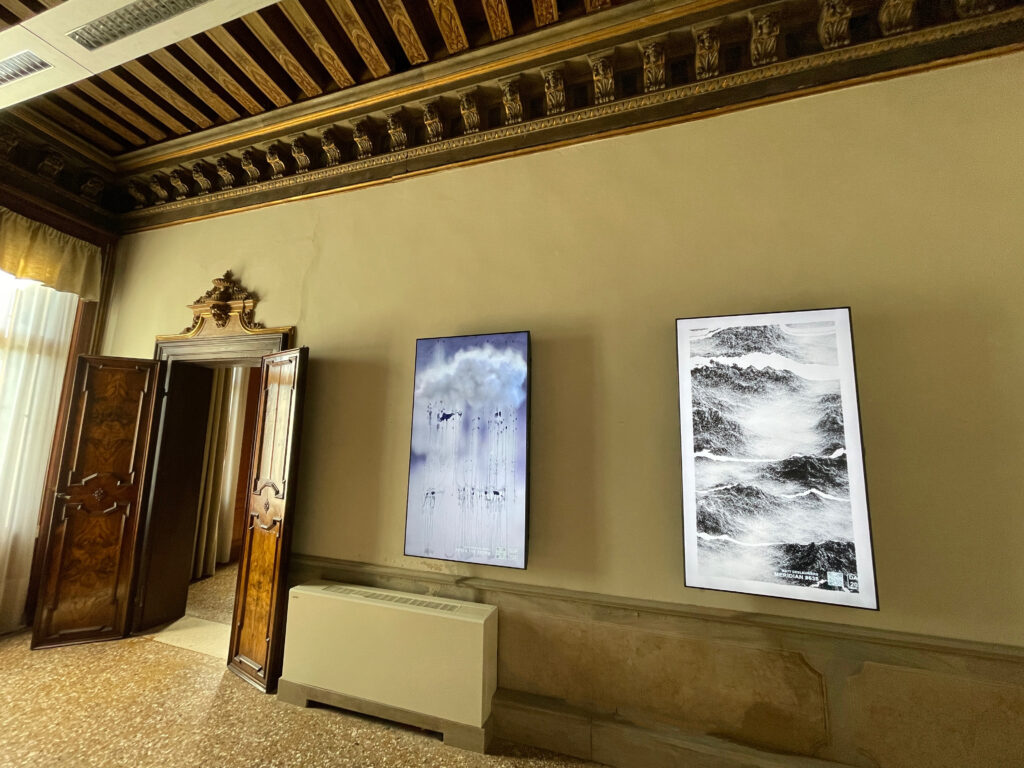 DAP_Venice_Daily Exhibition_Display (4)