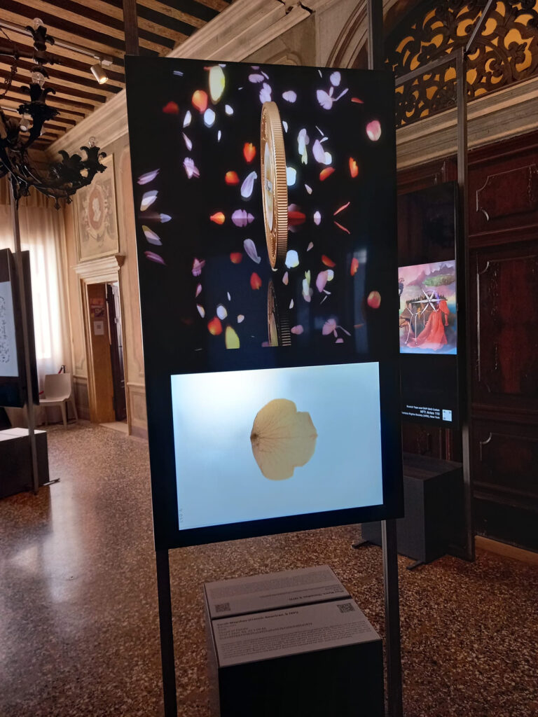 DAP_Venice_Daily Exhibition_Display (82)